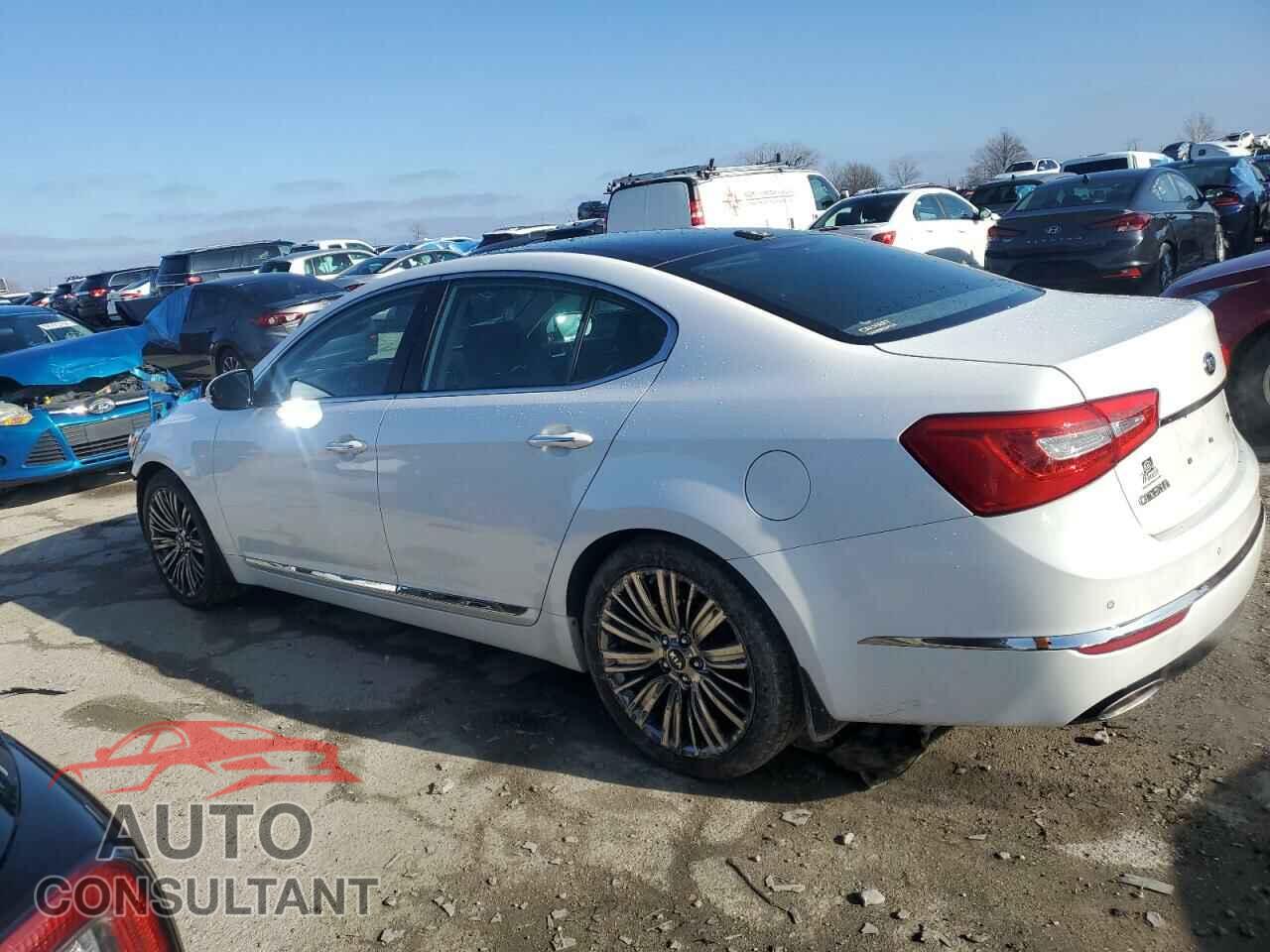 KIA CADENZA 2014 - KNALN4D77E5167167