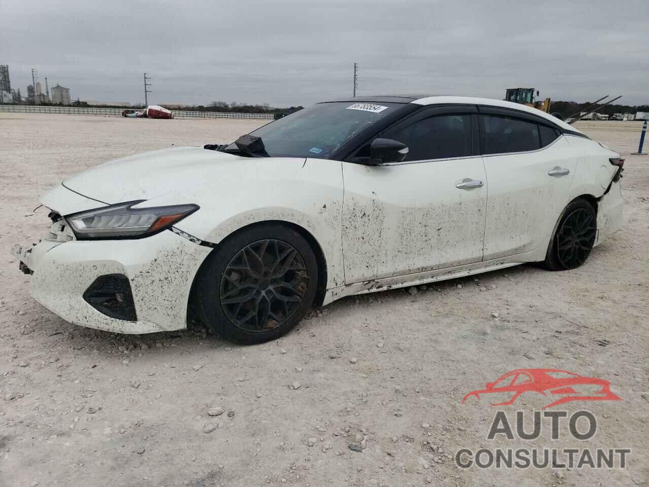 NISSAN MAXIMA 2019 - 1N4AA6AV5KC377199