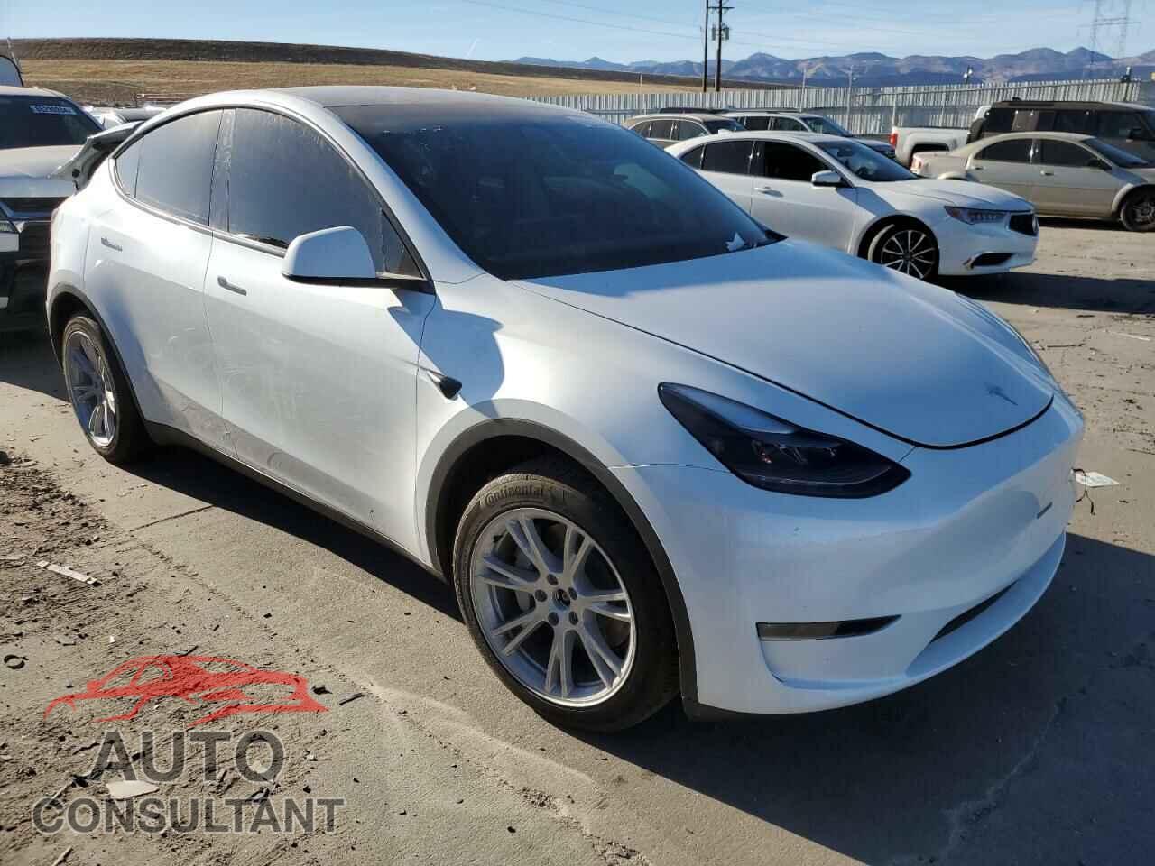 TESLA MODEL Y 2024 - 7SAYGDEE9RA268098