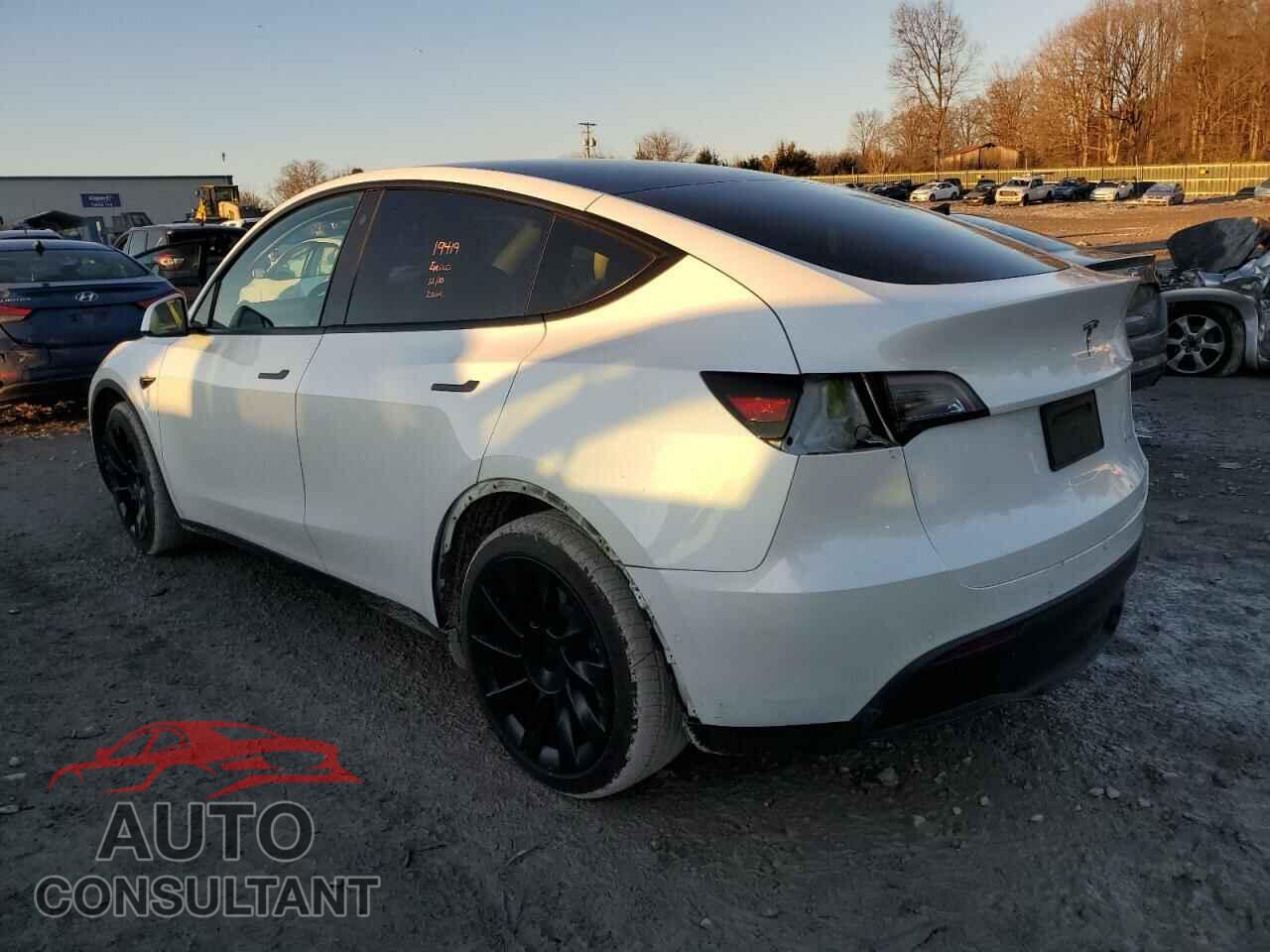 TESLA MODEL Y 2021 - 5YJYGDEE8MF300953