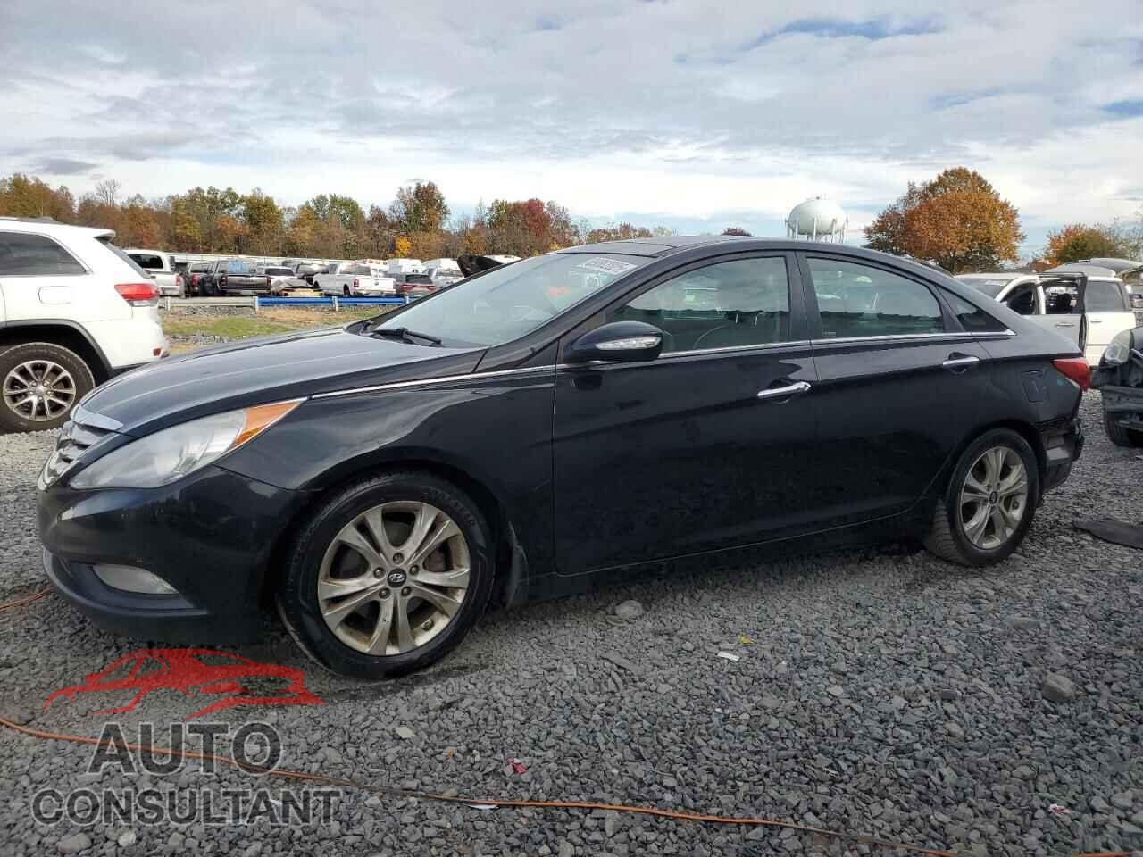 HYUNDAI SONATA 2013 - 5NPEC4AC2DH614165