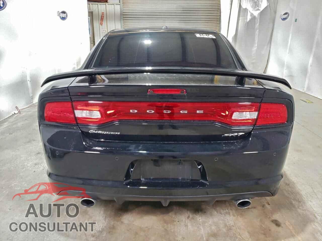 DODGE CHARGER 2014 - 2C3CDXEJ1EH271989
