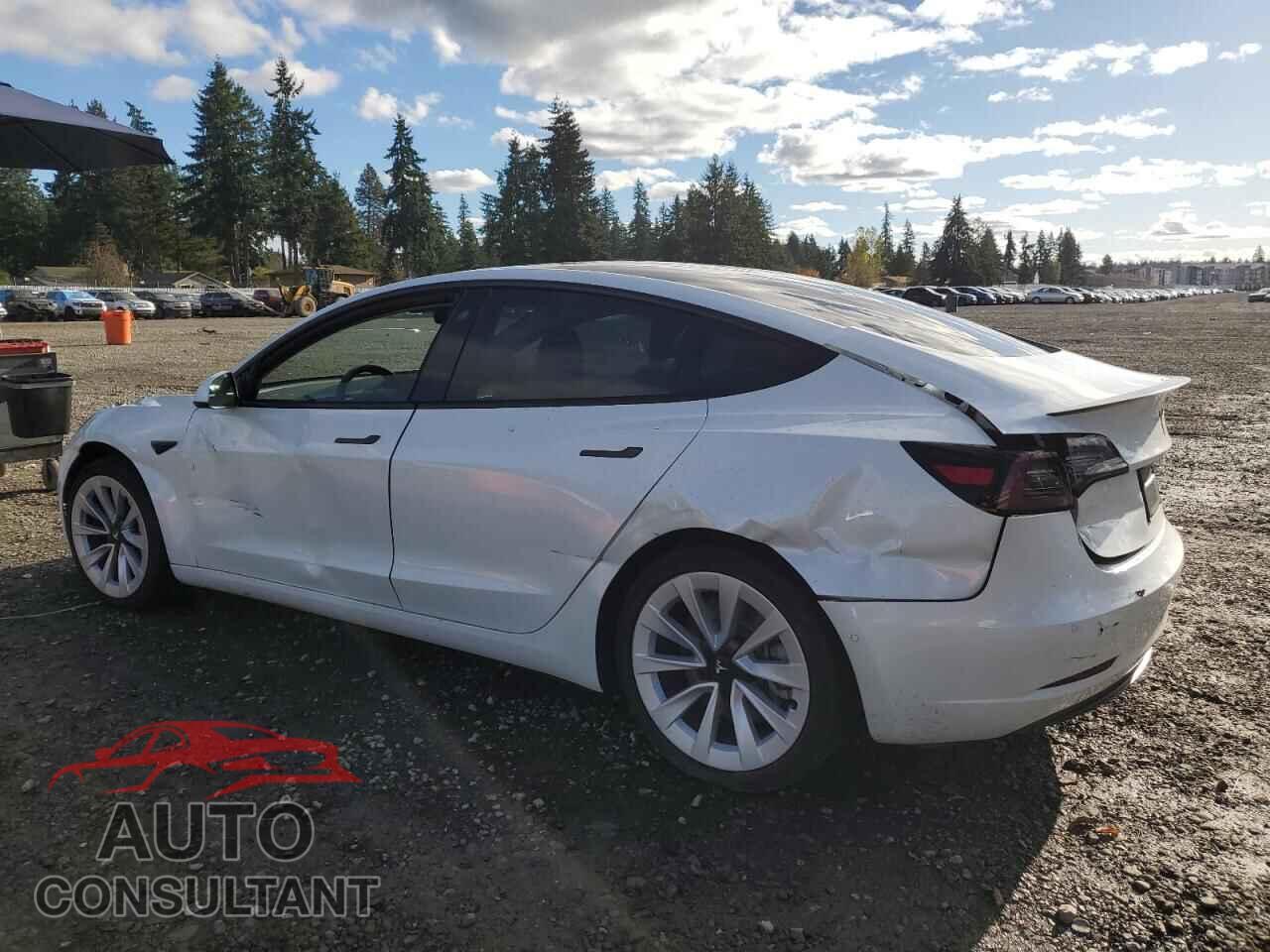 TESLA MODEL 3 2021 - 5YJ3E1EB6MF874259