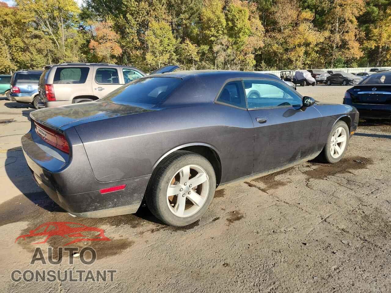 DODGE CHALLENGER 2014 - 2C3CDYAGXEH208910