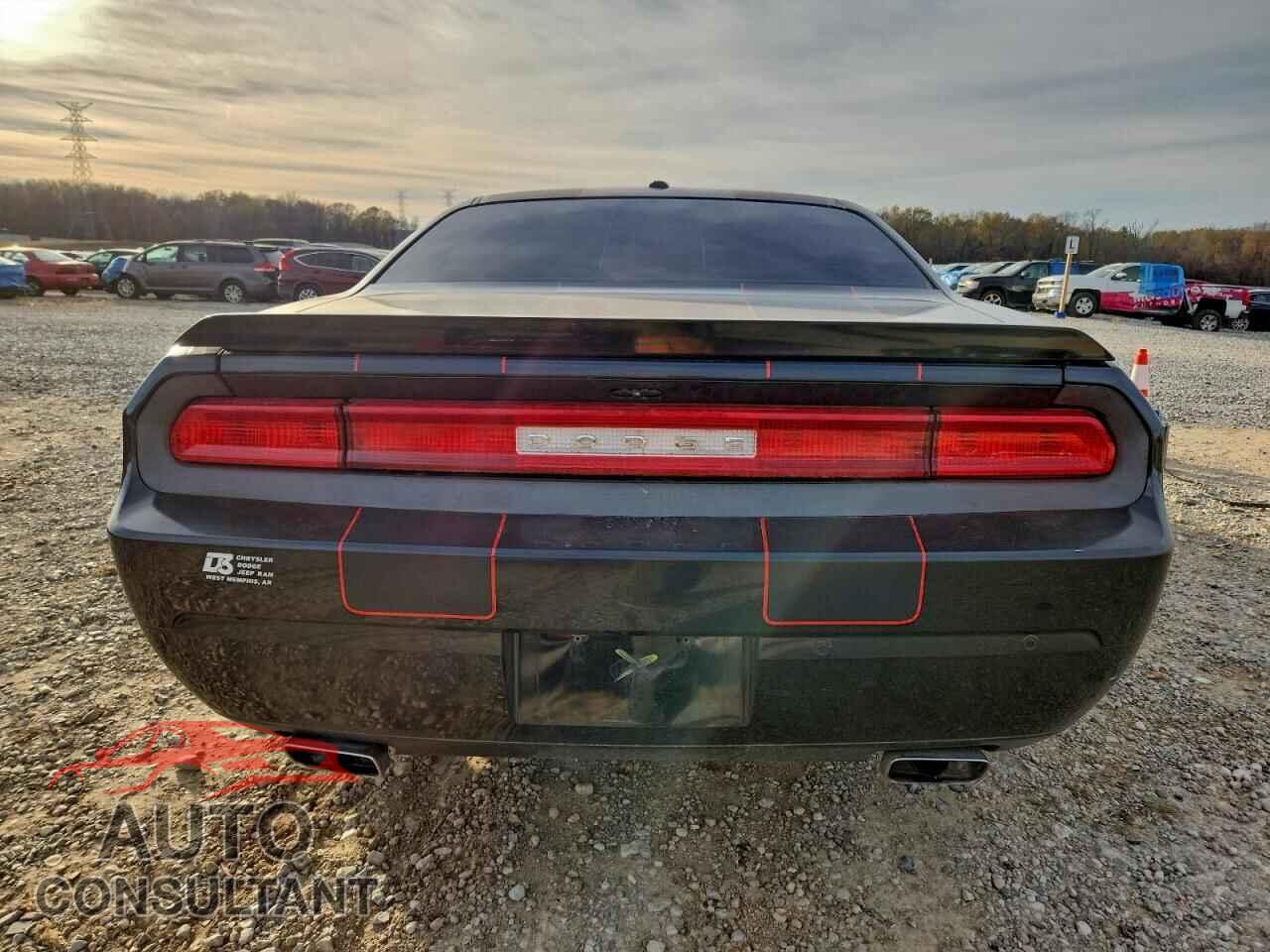 DODGE CHALLENGER 2014 - 2C3CDYBT8EH115394