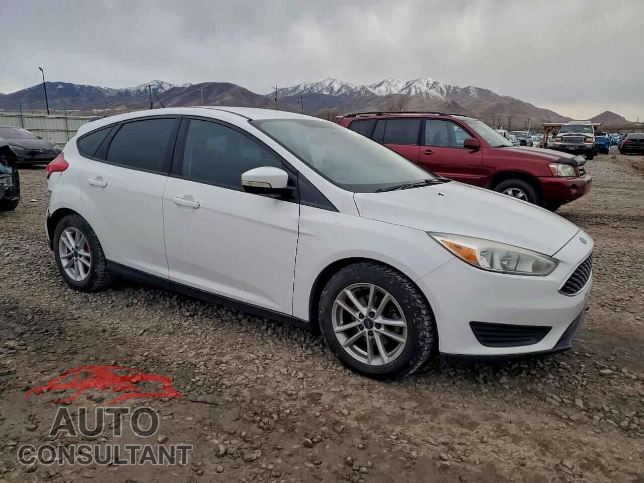 FORD FOCUS 2015 - 1FADP3K29FL324042