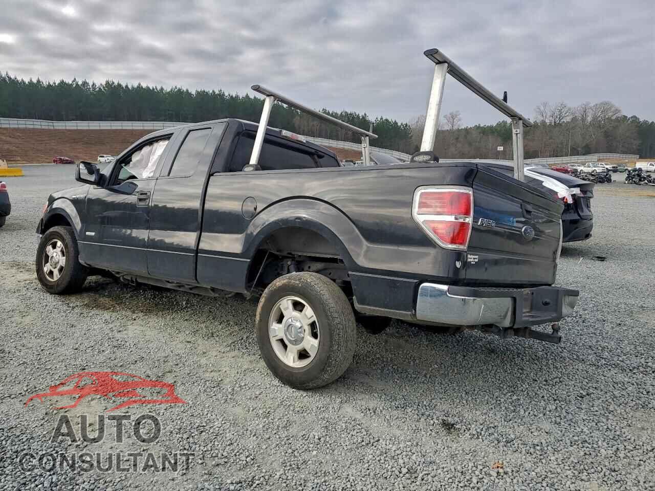 FORD F-150 2013 - 1FTFX1CT3DFC84616