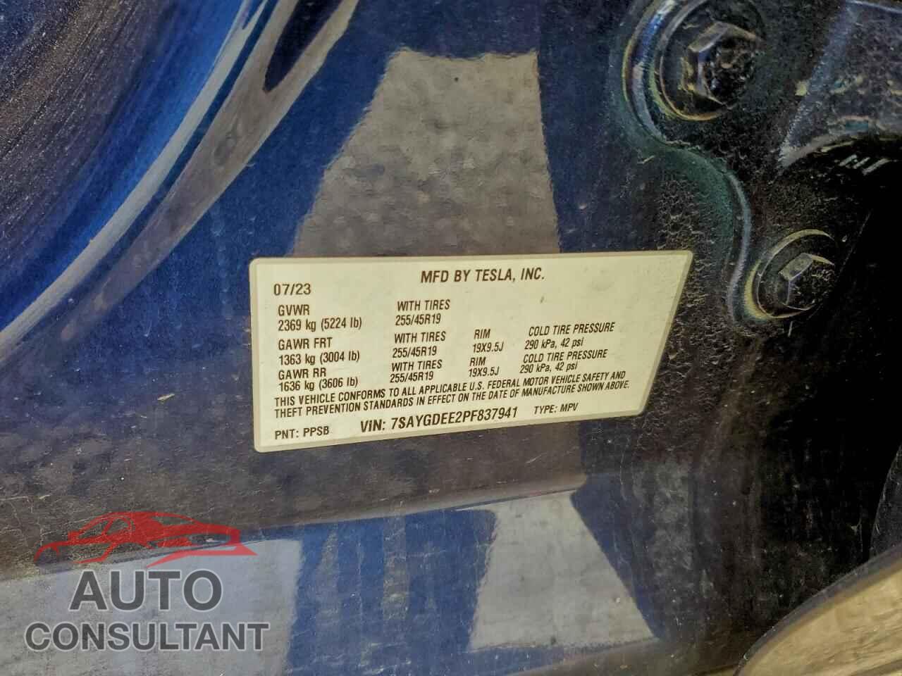 TESLA MODEL Y 2023 - 7SAYGDEE2PF837941