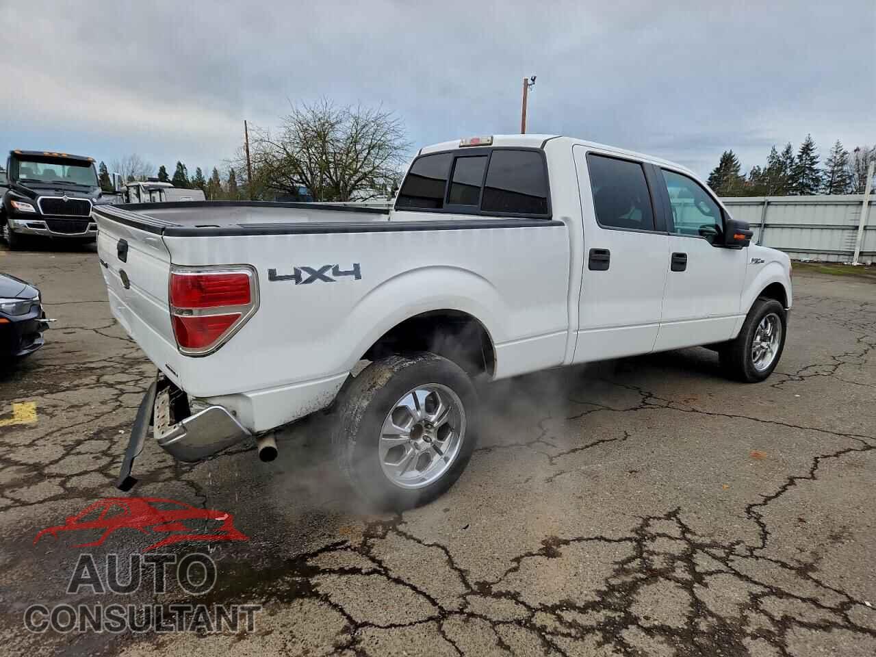 FORD F-150 2011 - 1FTFW1EF5BKD12396