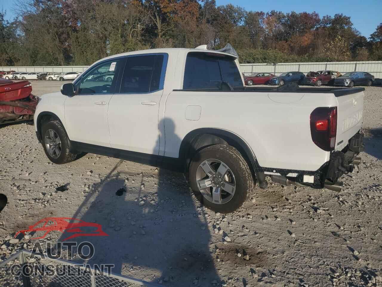 HONDA RIDGELINE 2024 - 5FPYK3F56RB009762