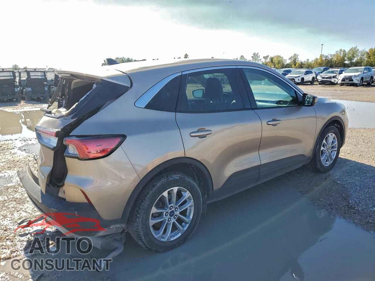 FORD ESCAPE 2020 - 1FMCU0G67LUA75489