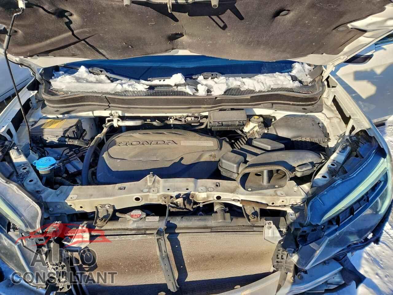 HONDA PILOT 2017 - 5FNYF5H52HB024490