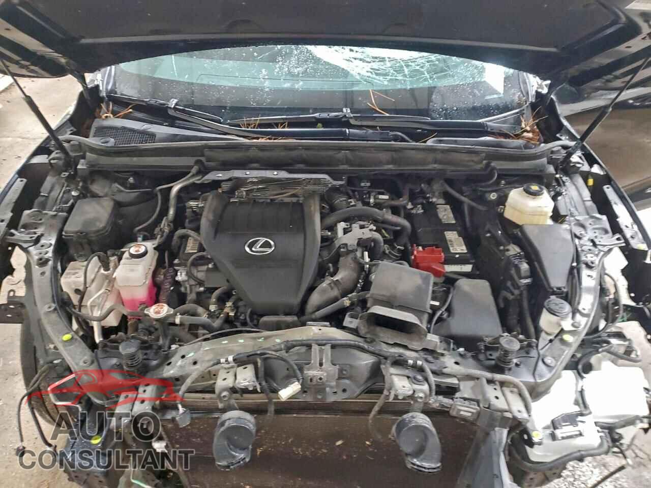 LEXUS RX350 2023 - 2T2BAMCA4PC020491