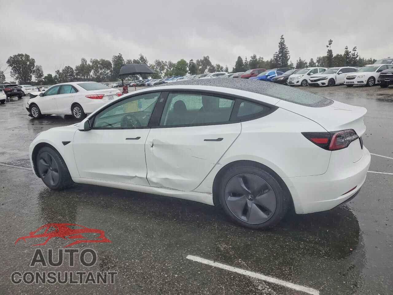 TESLA MODEL 3 2021 - 5YJ3E1EA1MF939672