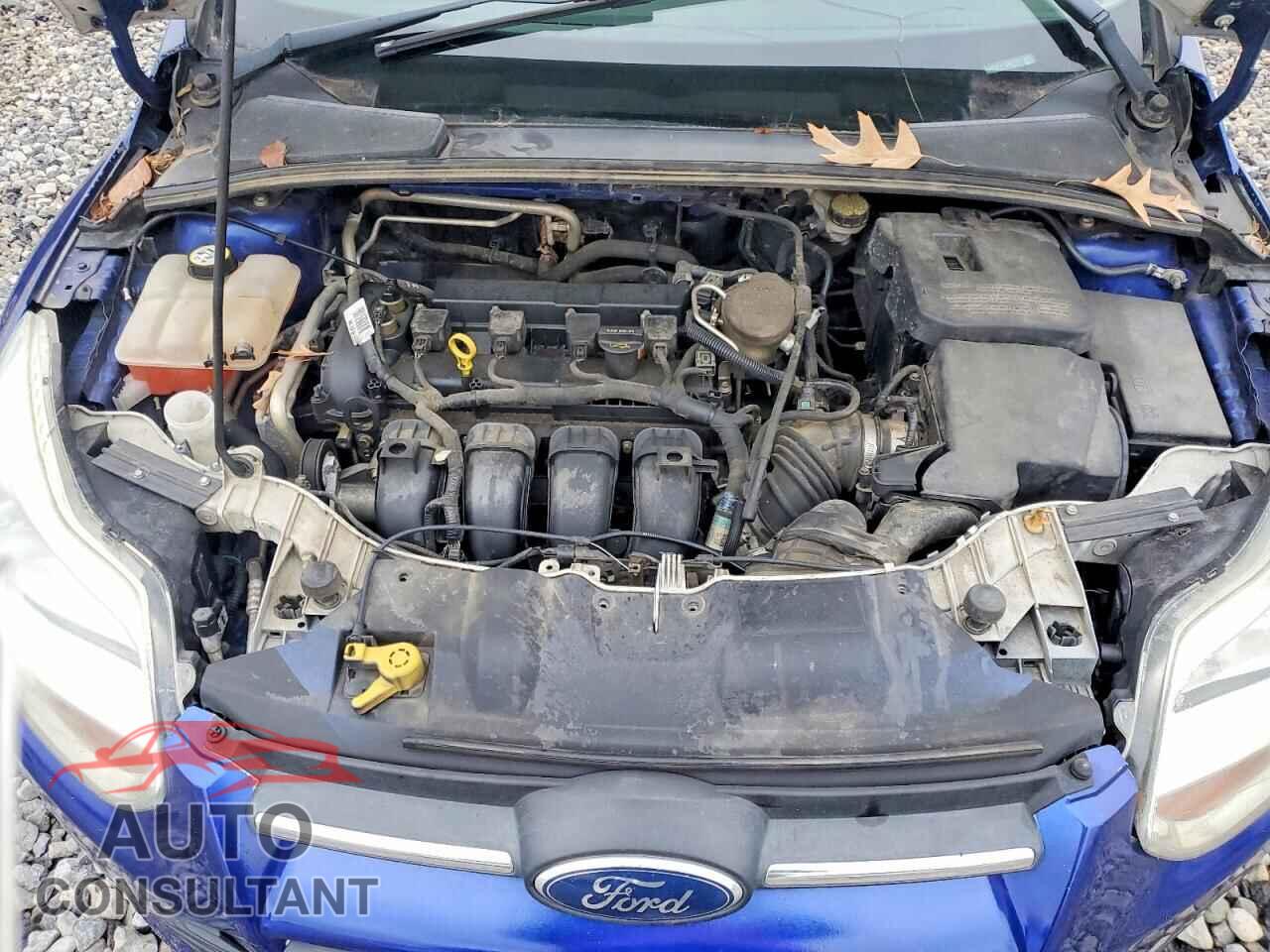 FORD FOCUS 2012 - 1FAHP3F21CL224797