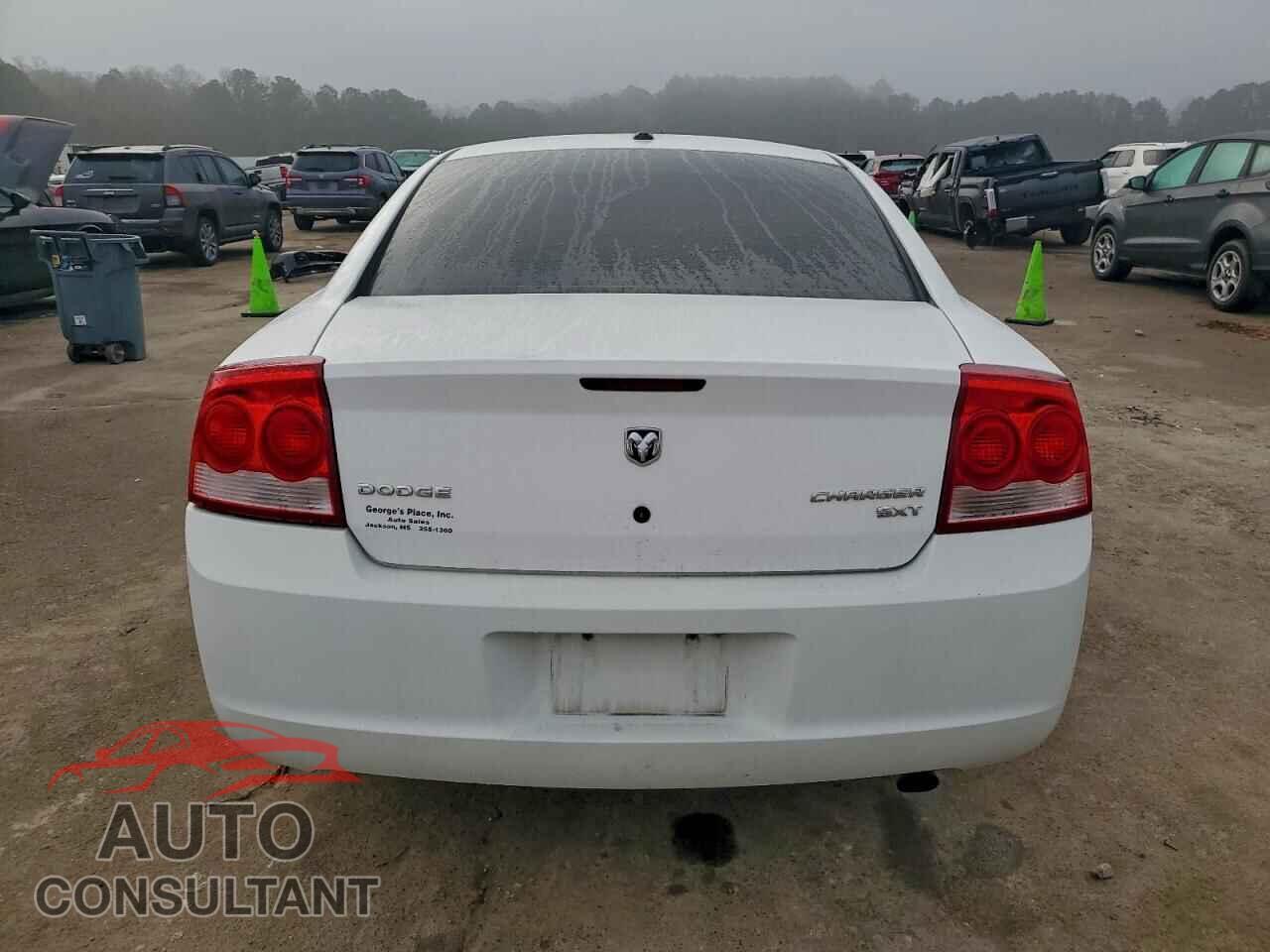 DODGE CHARGER 2010 - 2B3CA3CV2AH310846