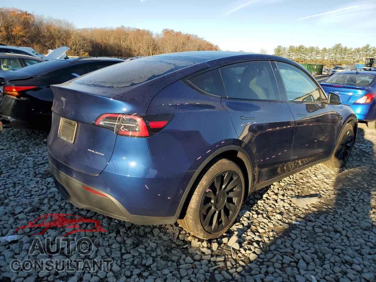 TESLA MODEL Y 2022 - 7SAYGDEE9NF417543
