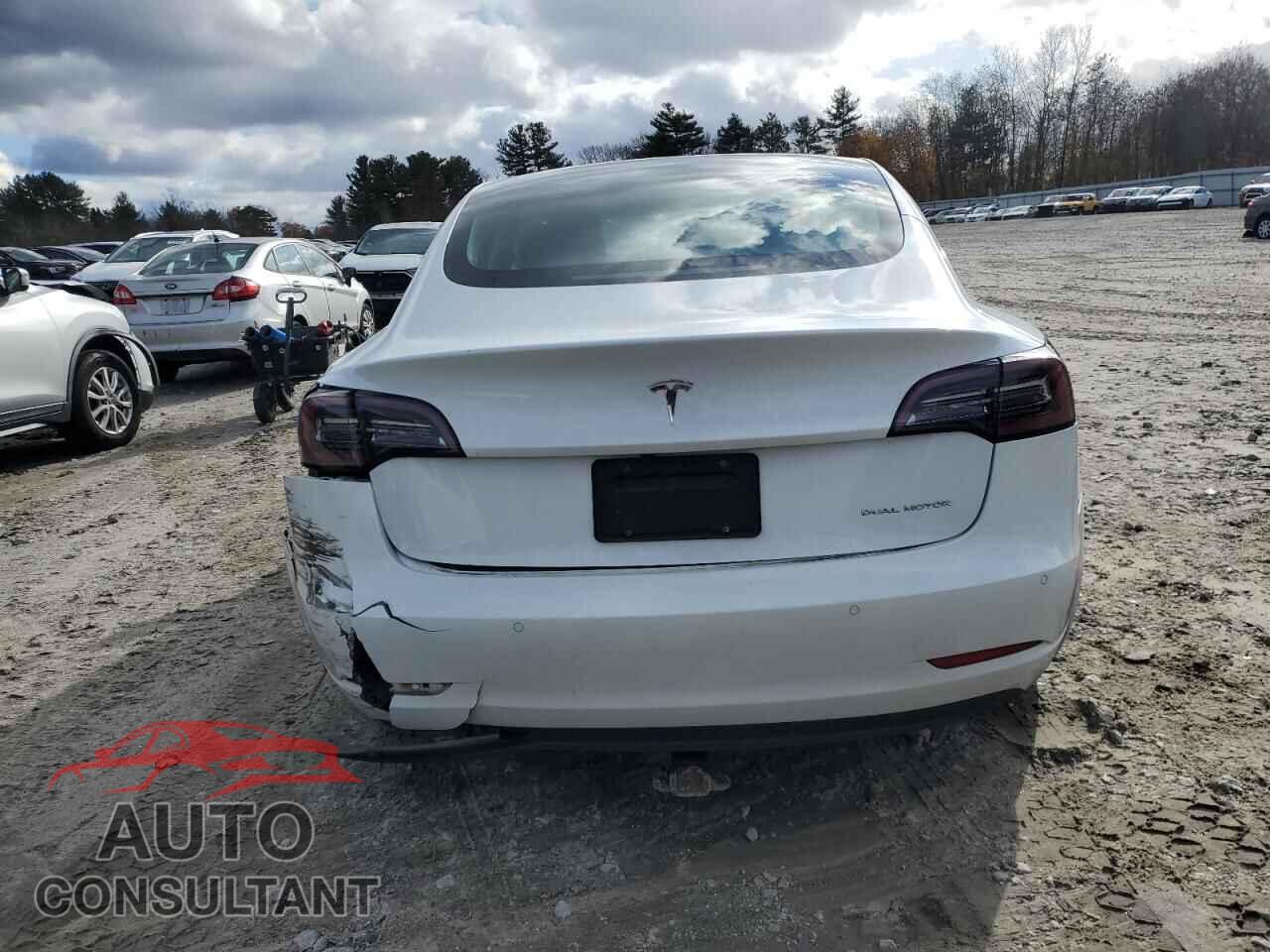 TESLA MODEL 3 2020 - 5YJ3E1EB5LF717532
