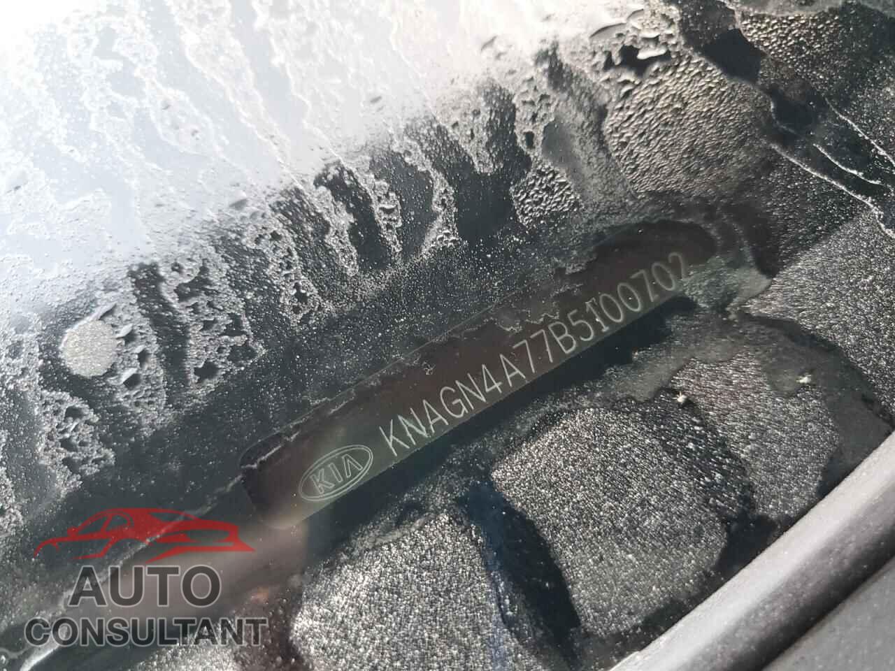 KIA OPTIMA 2011 - KNAGN4A77B5100702