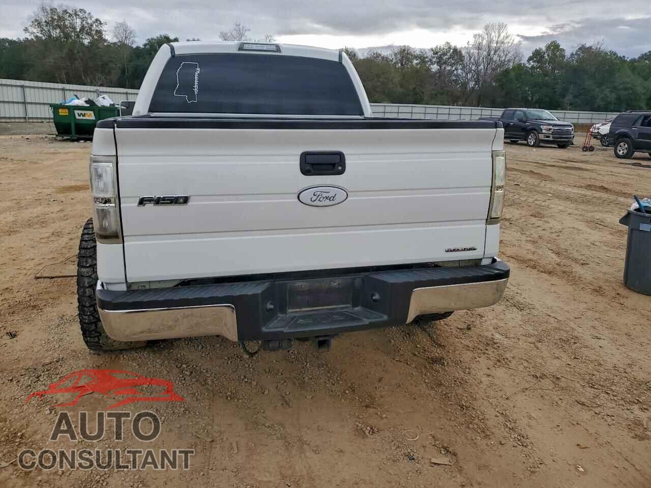 FORD F-150 2013 - 1FTFW1EF3DFD63441