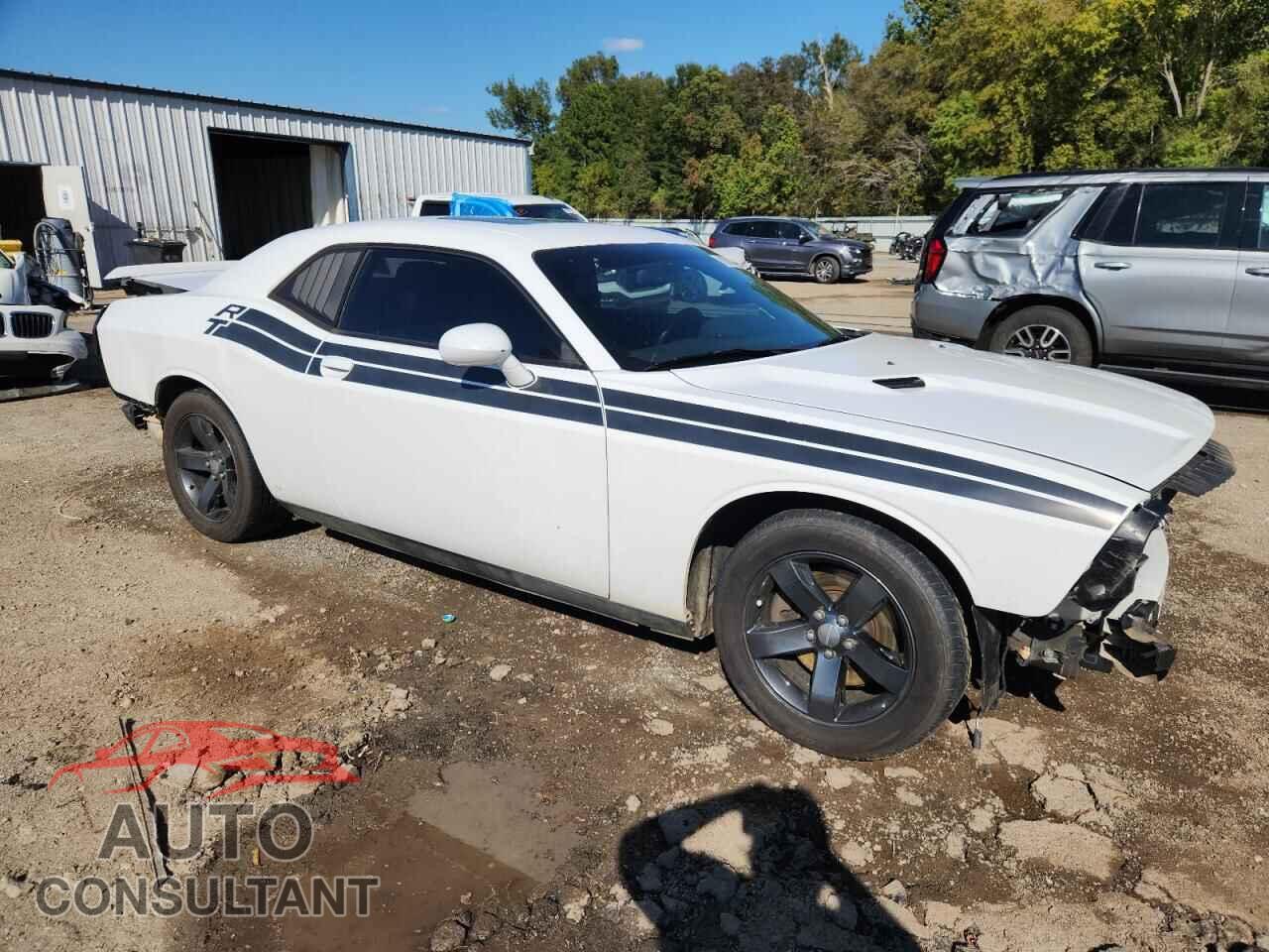 DODGE CHALLENGER 2013 - 2C3CDYAG9DH515824
