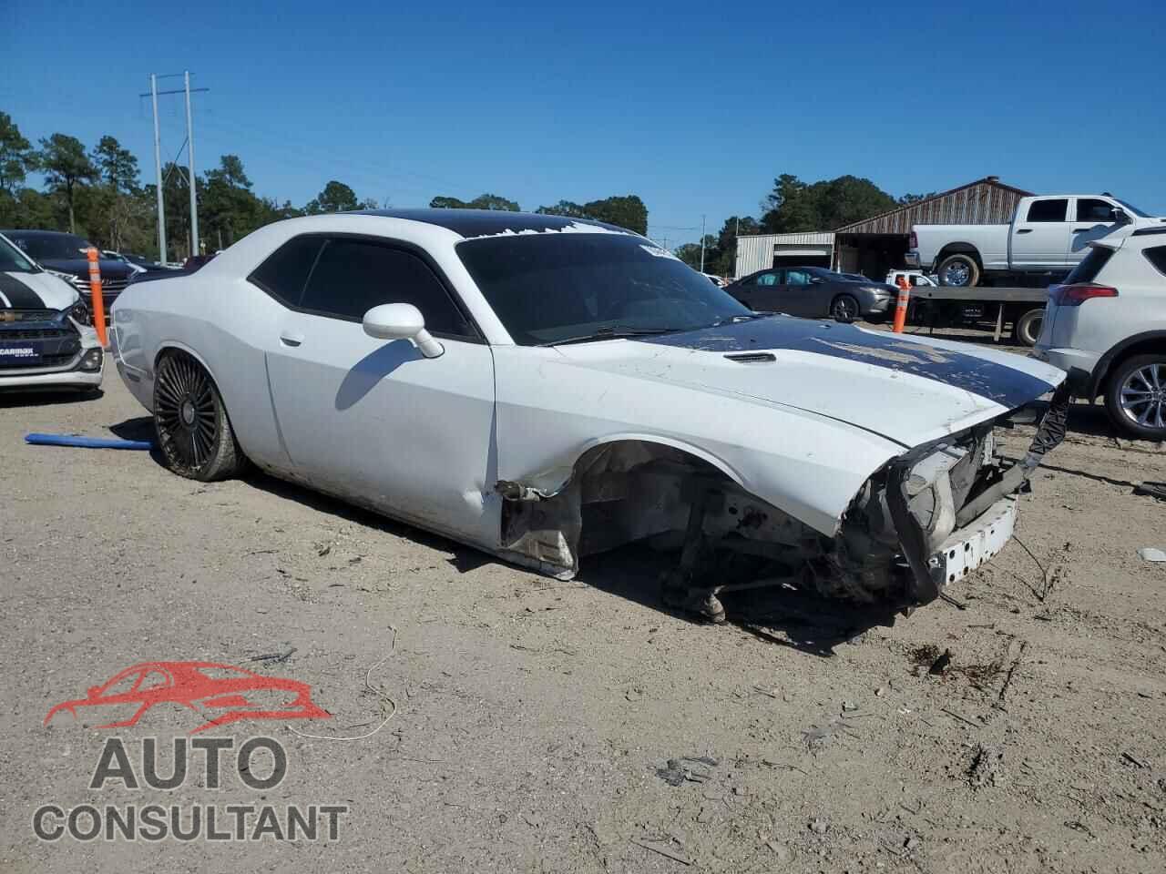 DODGE CHALLENGER 2014 - 2C3CDYBT4EH256236