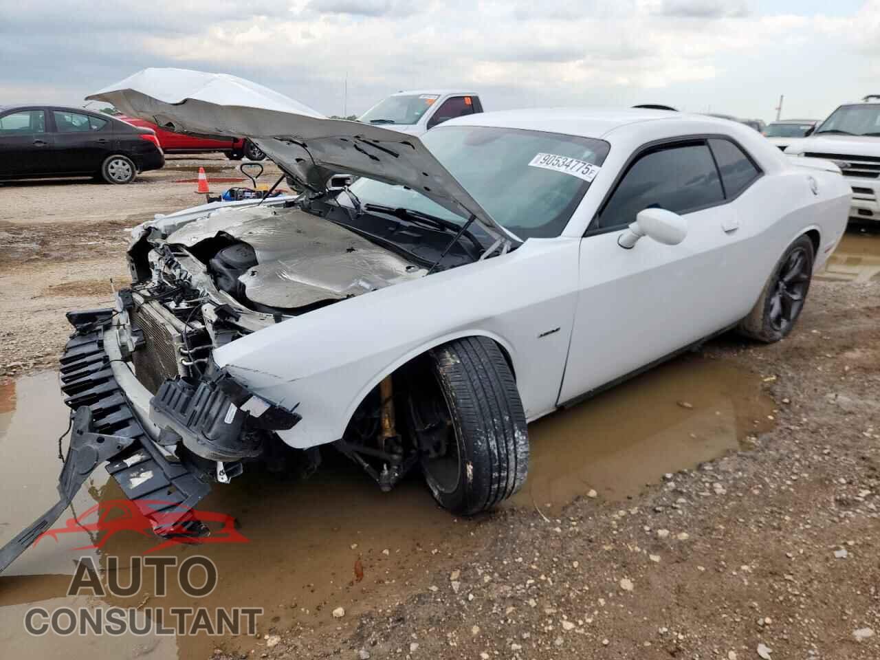DODGE CHALLENGER 2019 - 2C3CDZBT8KH708562