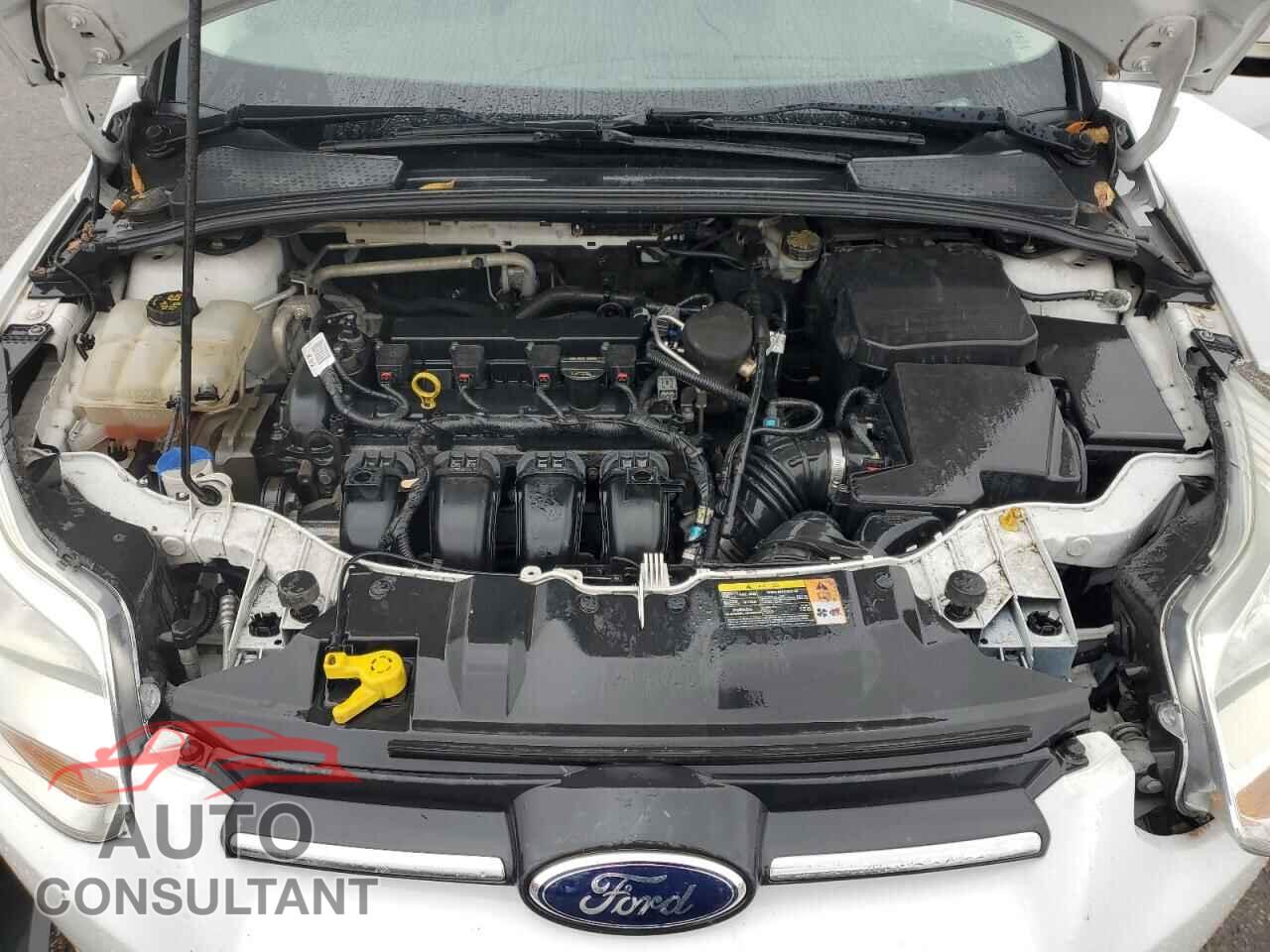 FORD FOCUS 2014 - 1FADP3F29EL228811