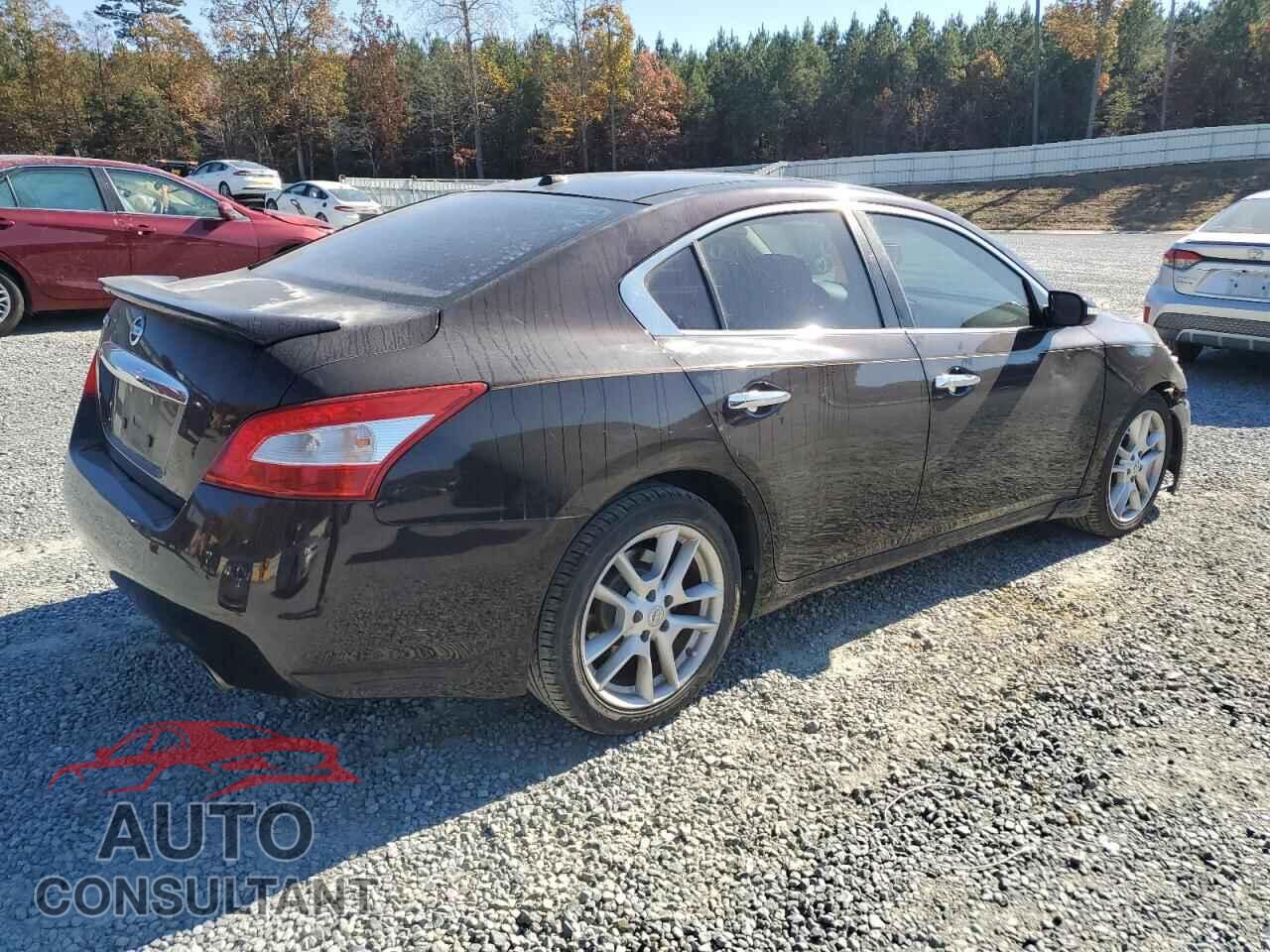 NISSAN MAXIMA 2011 - 1N4AA5AP4BC856256