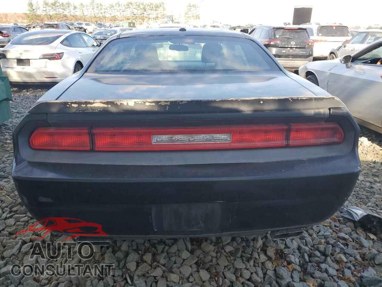 DODGE CHALLENGER 2012 - 2C3CDYAG2CH259329