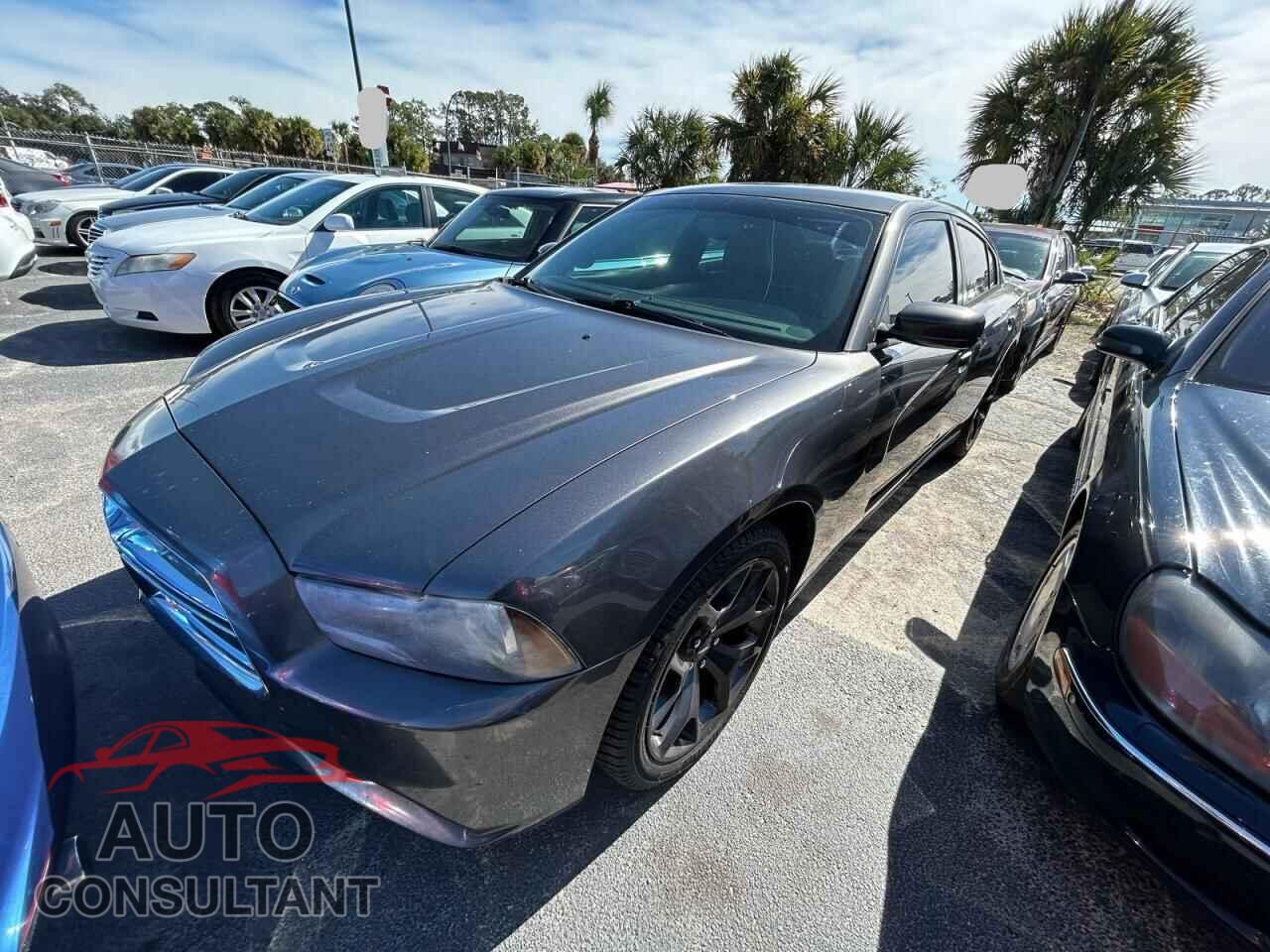 DODGE CHARGER 2014 - 2C3CDXHG4EH161082