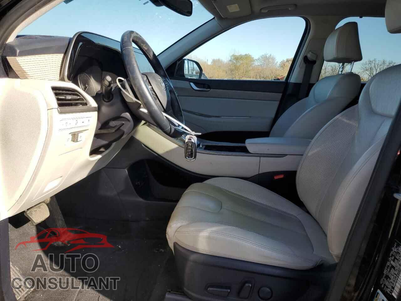 HYUNDAI PALISADE 2020 - KM8R4DHE3LU110892