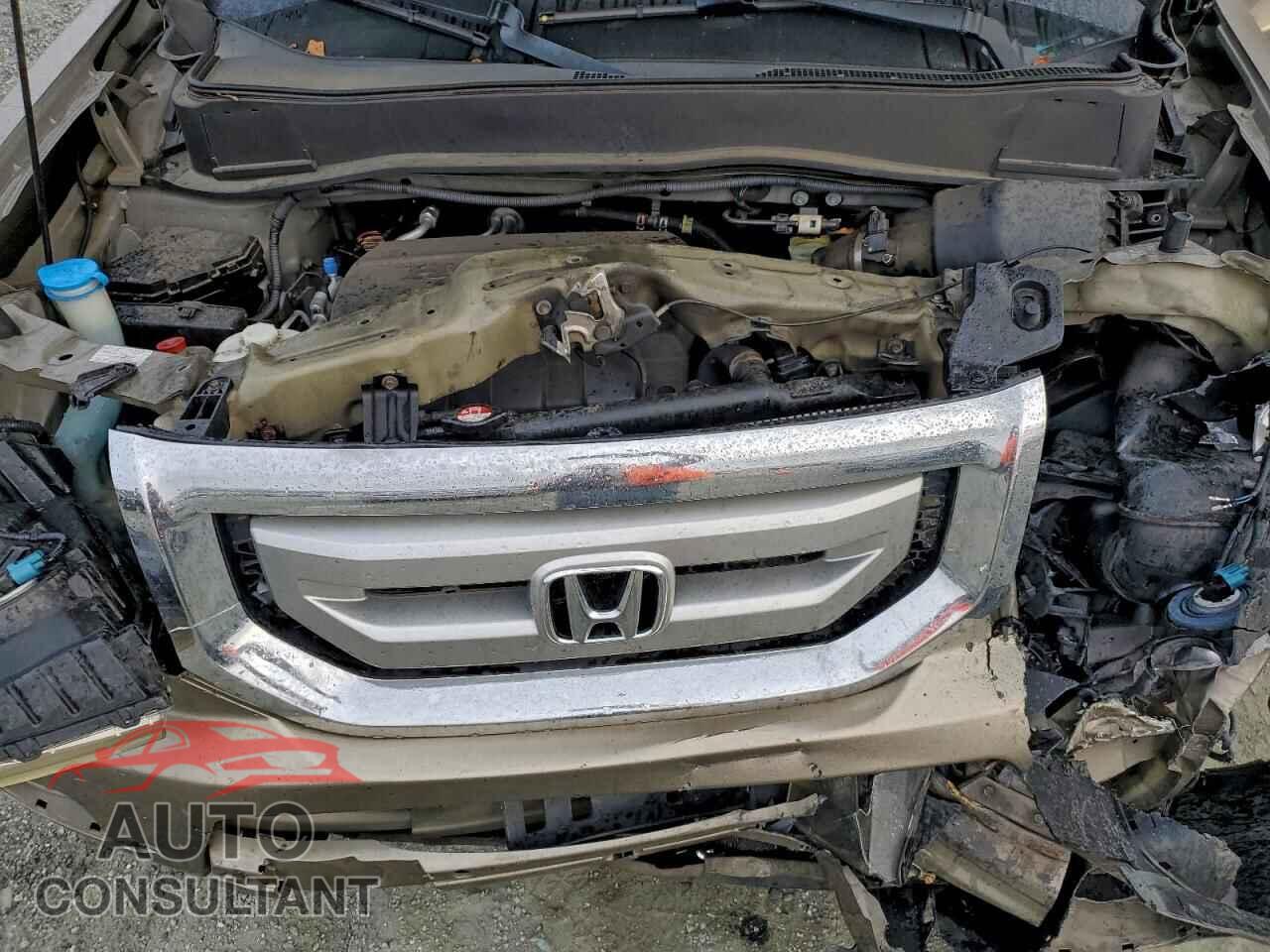 HONDA PILOT 2011 - 5FNYF4H55BB044542