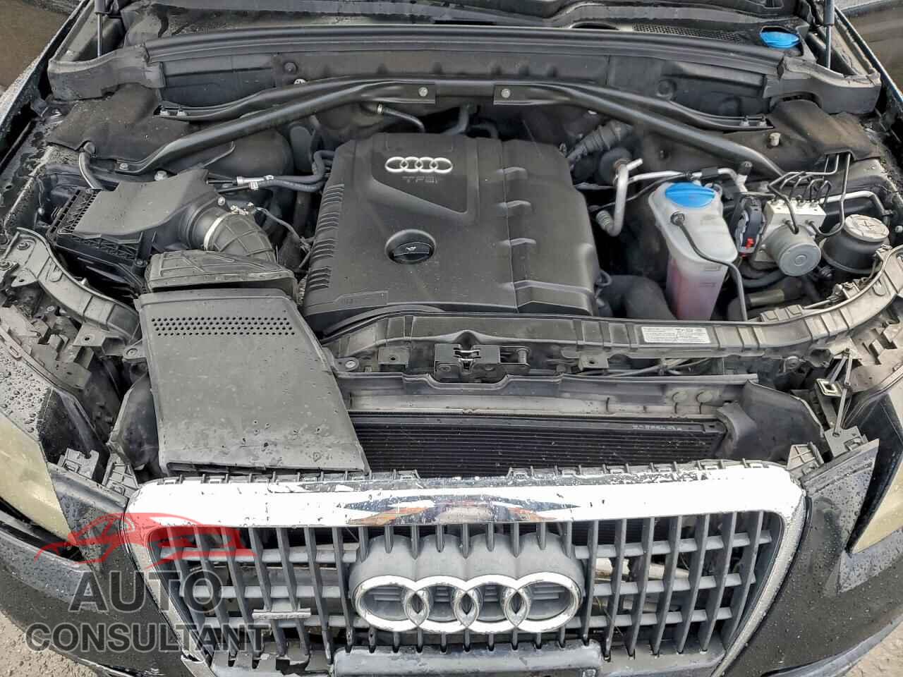 AUDI Q5 2011 - WA1LFAFP3BA016092