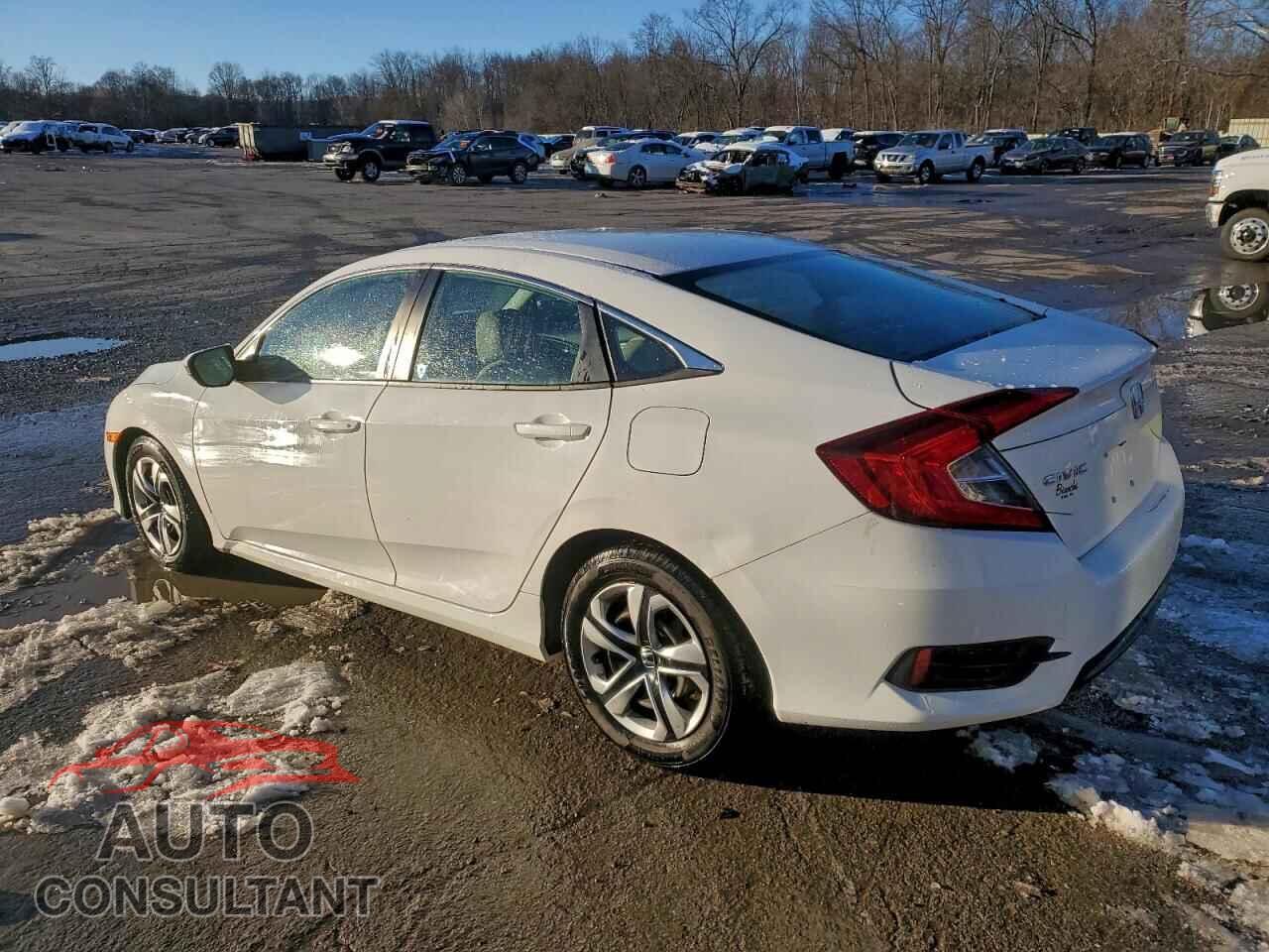 HONDA CIVIC 2017 - 2HGFC2F54HH554814