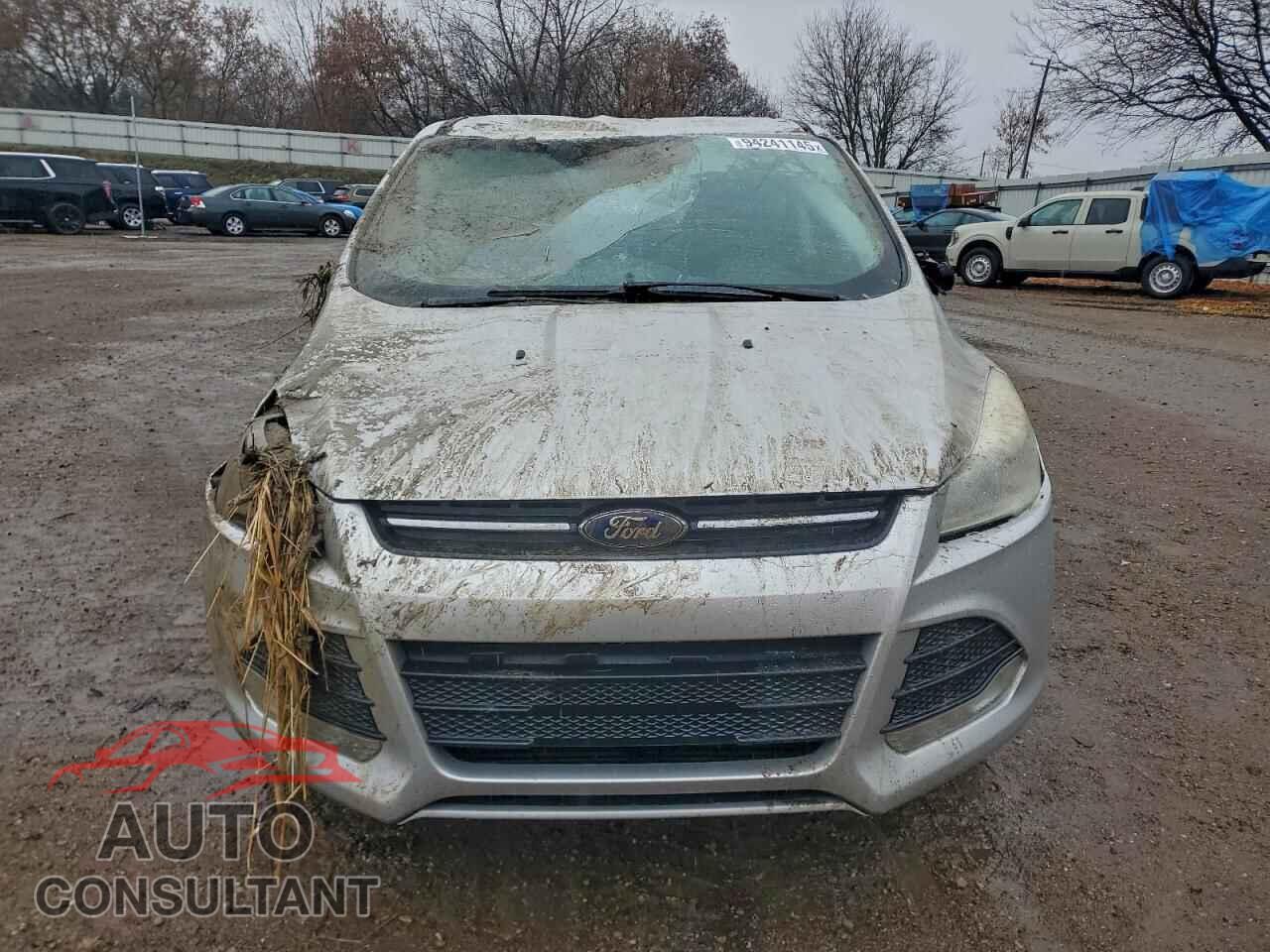 FORD ESCAPE 2014 - 1FMCU0GX8EUE35896