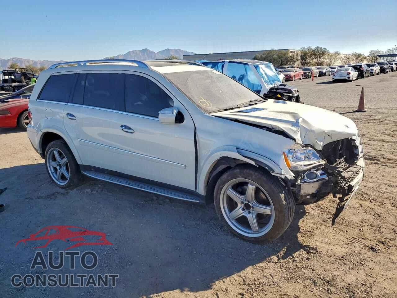 MERCEDES-BENZ GL-CLASS 2009 - 4JGBF86E59A519251