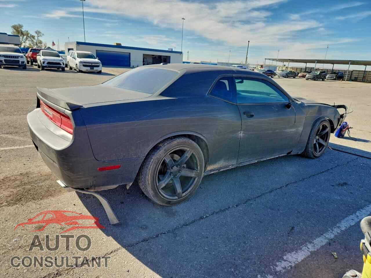 DODGE CHALLENGER 2014 - 2C3CDYBT3EH153924