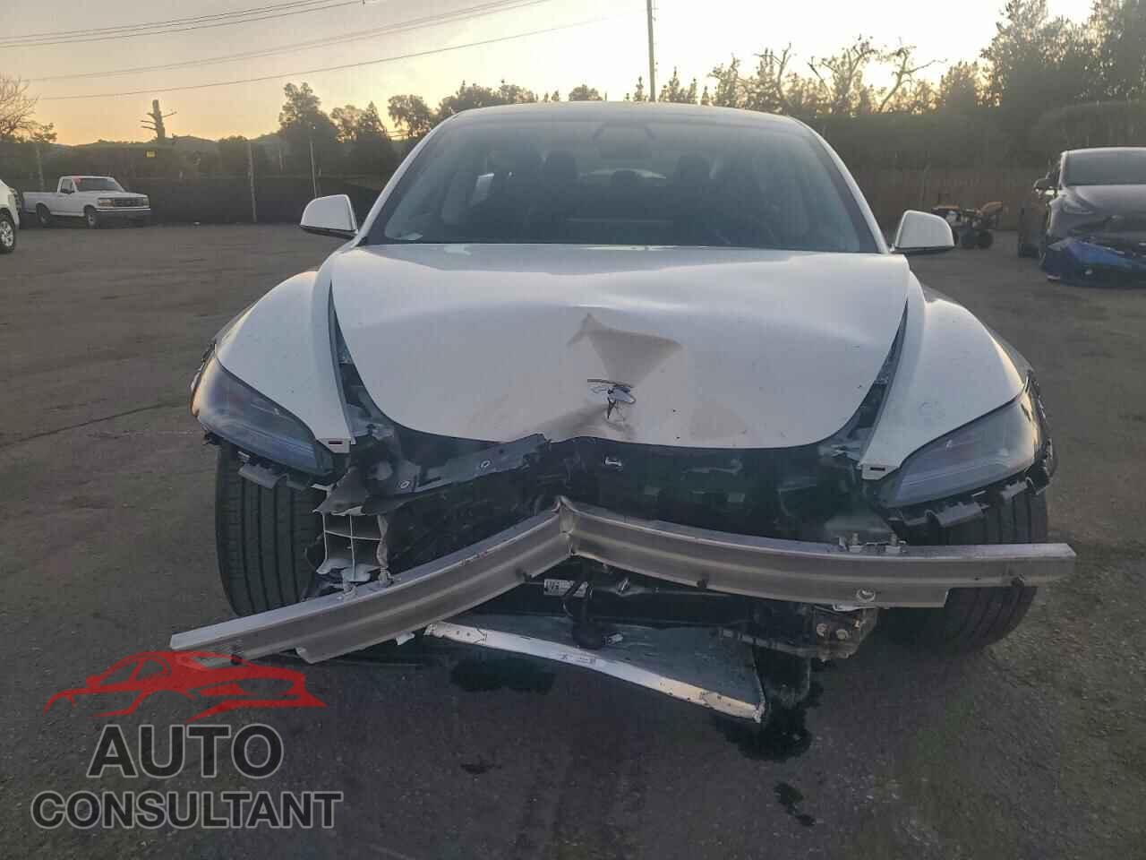 TESLA MODEL 3 2025 - 5YJ3E1EA1SF076126