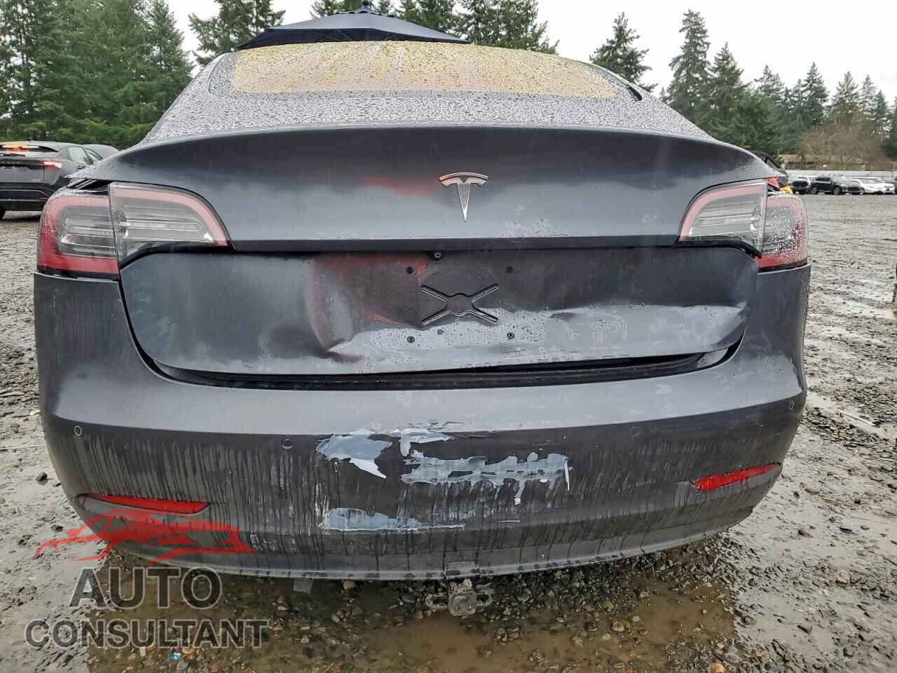 TESLA MODEL 3 2017 - 5YJ3E1EA6HF002421