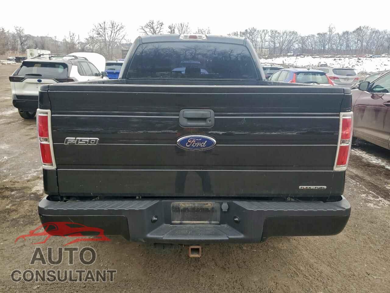 FORD F-150 2014 - 1FTFX1EF0EFC82430