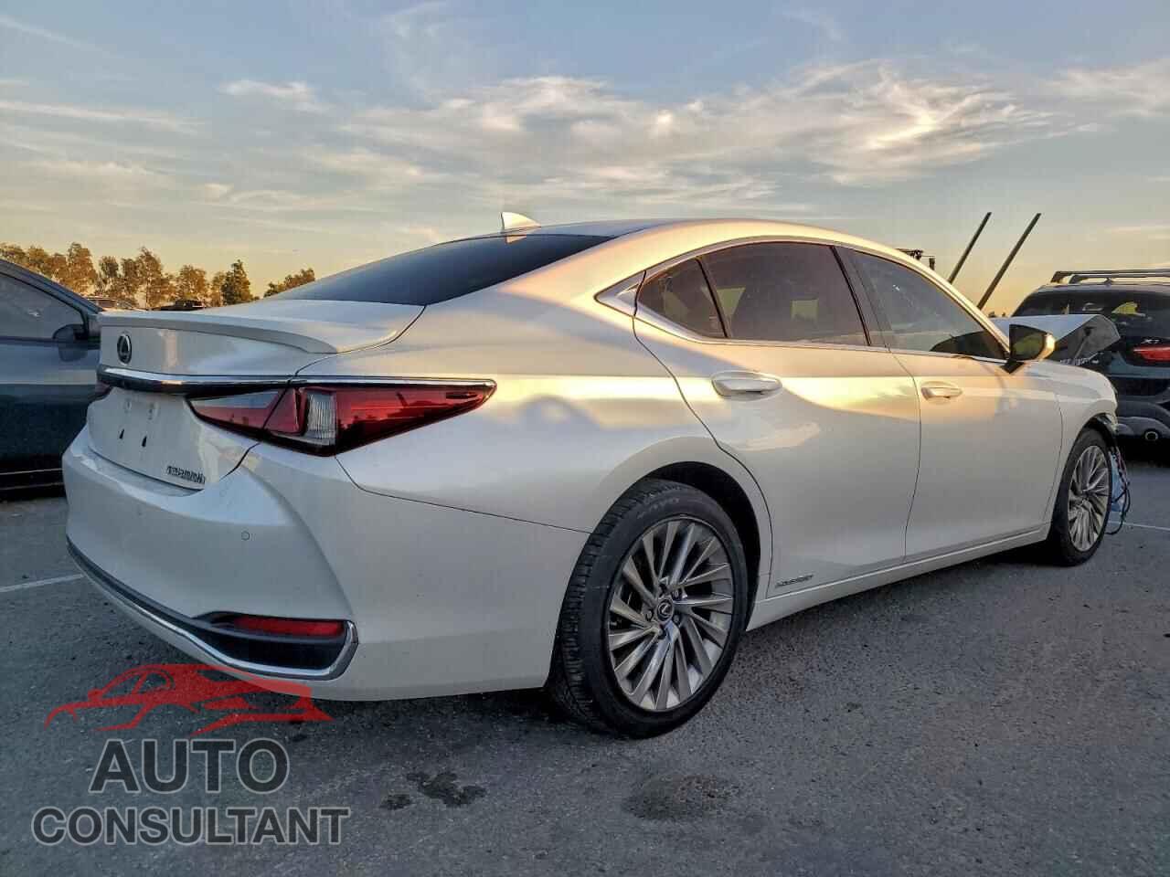 LEXUS ES300 2019 - JTHB21B15K2014352