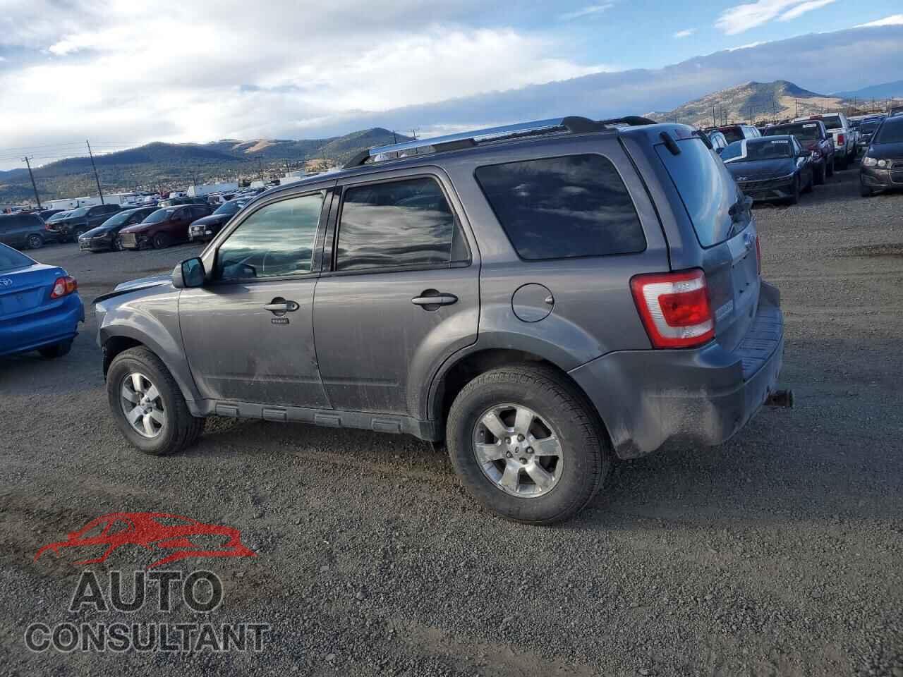 FORD ESCAPE 2011 - 1FMCU9EG9BKC08036