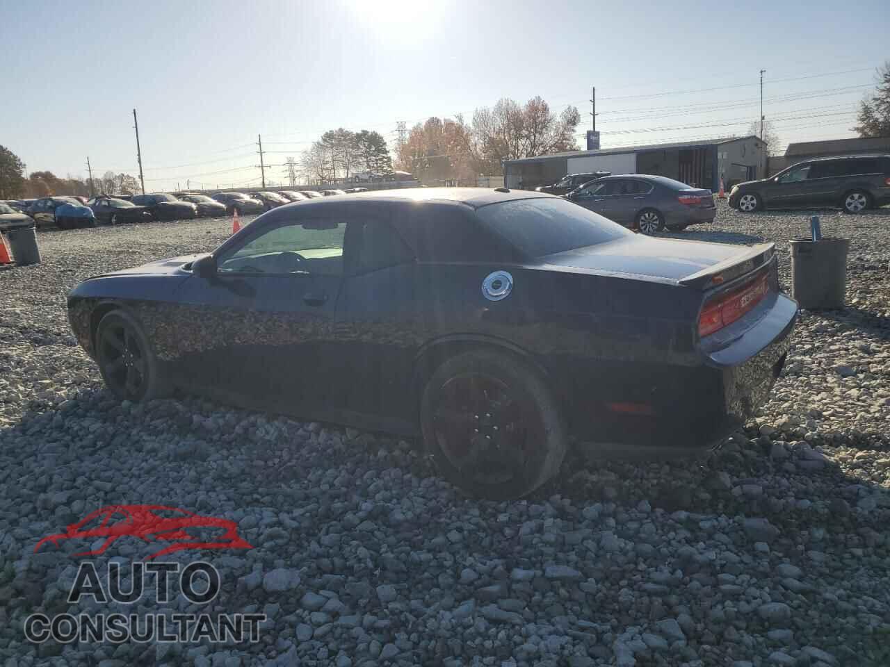 DODGE CHALLENGER 2014 - 2C3CDYAG6EH293647