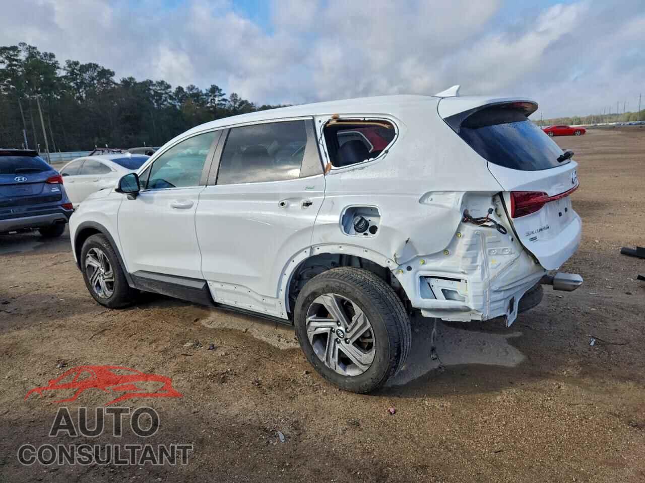 HYUNDAI SANTA FE 2023 - 5NMS14AJ0PH522819