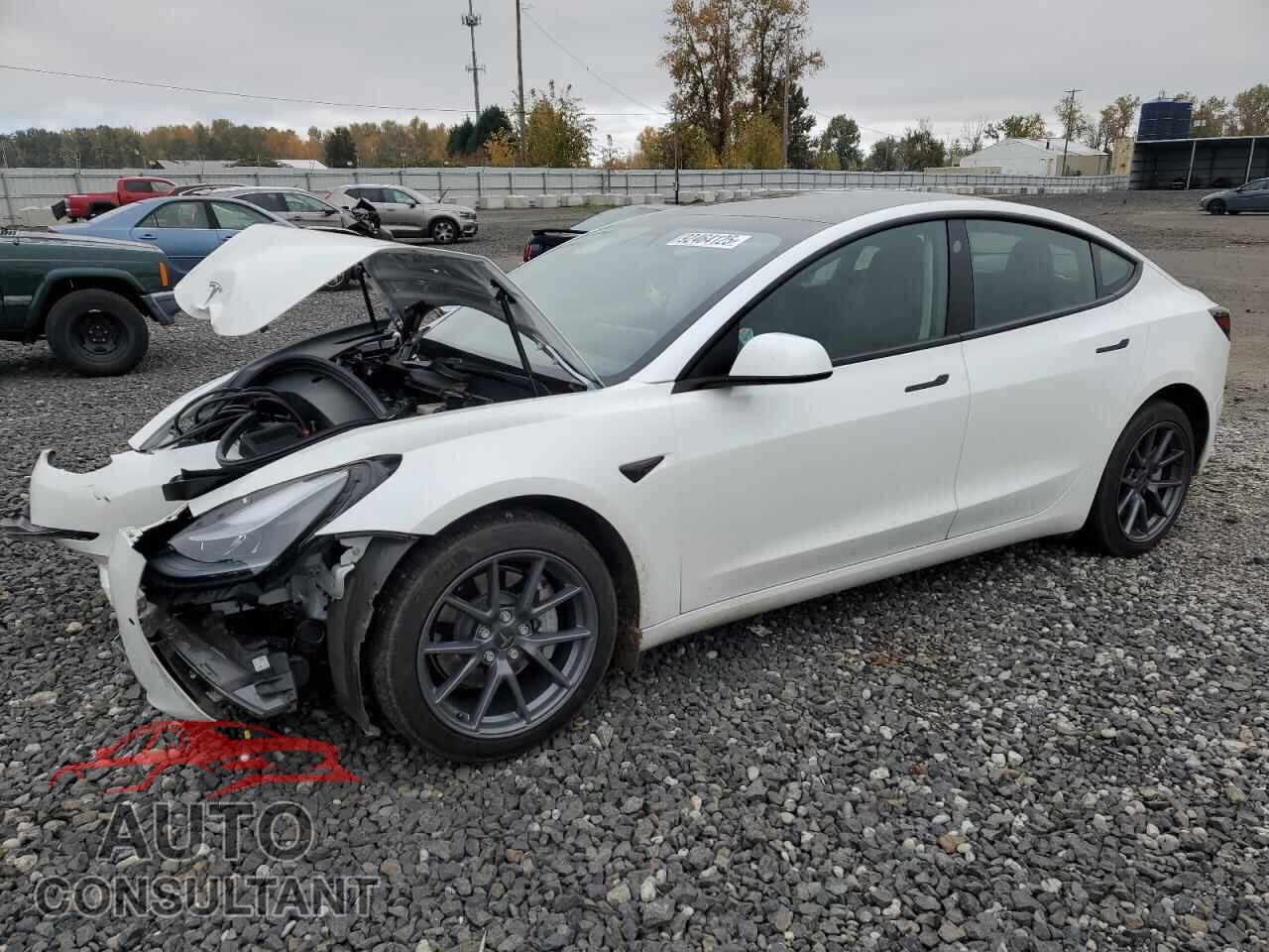 TESLA MODEL 3 2021 - 5YJ3E1EA7MF054134