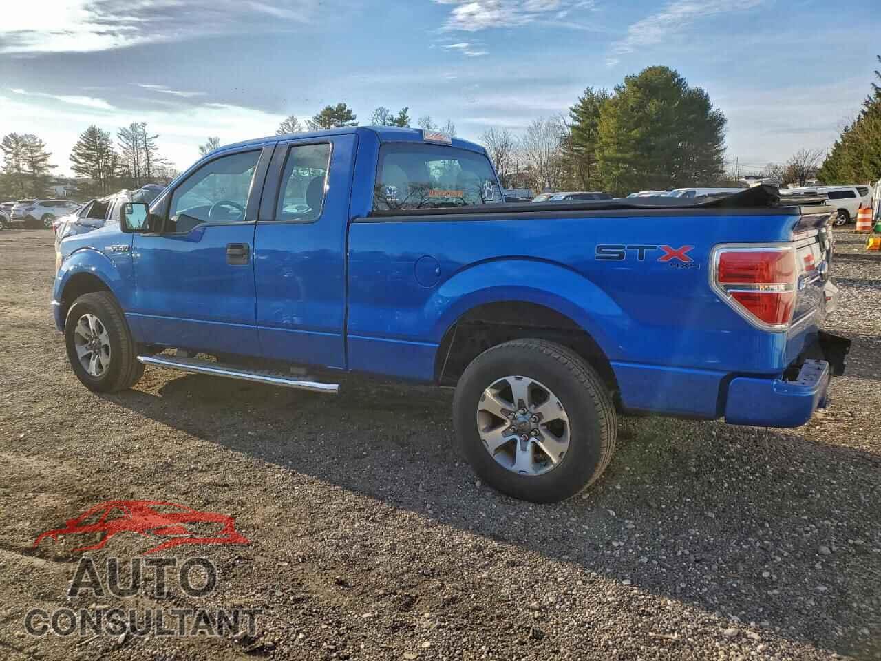 FORD F-150 2013 - 1FTFX1EF5DFC38132