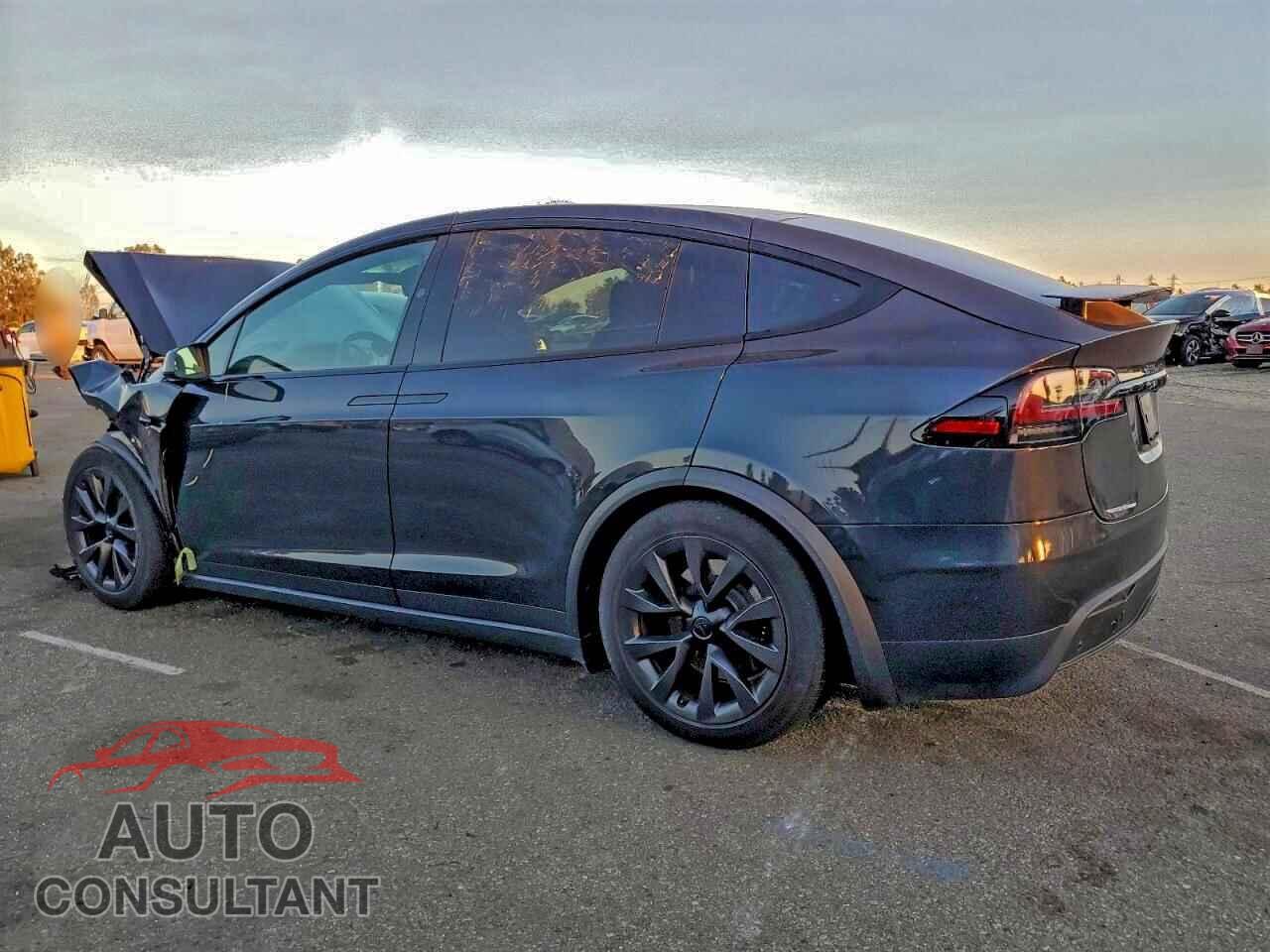 TESLA MODEL X 2024 - 7SAXCBE52RF444746