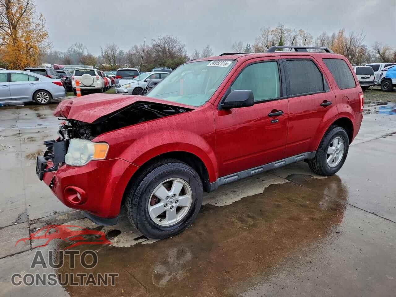 FORD ESCAPE 2010 - 1FMCU9DG2AKB81360