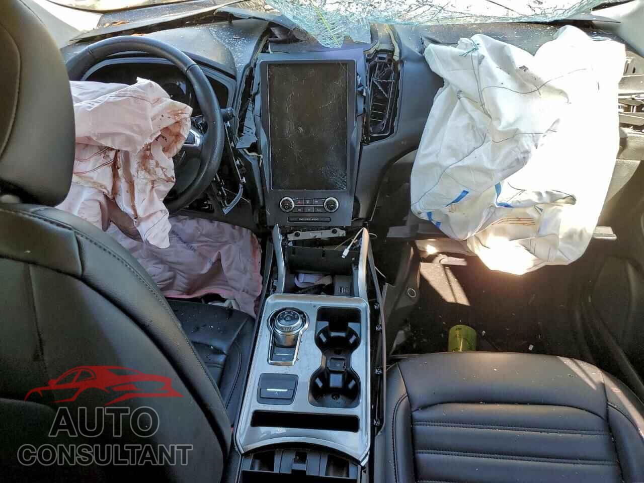 FORD EDGE 2024 - 2FMPK4J96RBA47232